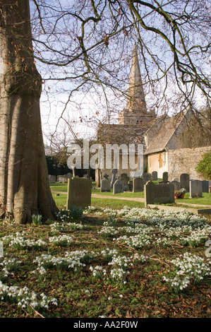 Down Ampney Kirche in Gloucestershire, England 2007 Stockfoto