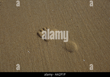 Fußabdruck im Sand Sable-d ' or-Les-Pins, Bretagne, Frankreich Stockfoto