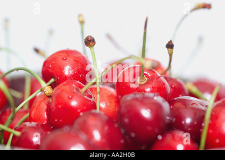 Nahaufnahme frisch gewaschener Kirschen mit Wassertröpfchen Stockfoto