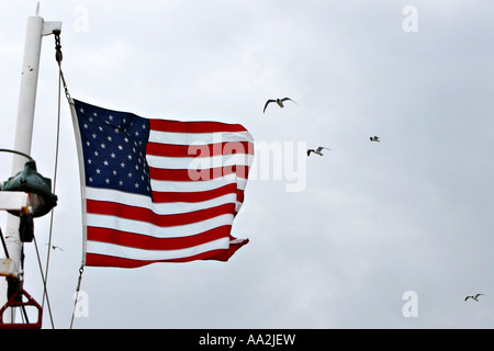 Eine amerikanische Flagge winken in die Brise mit Möwen fliegen im Hintergrund Stockfoto
