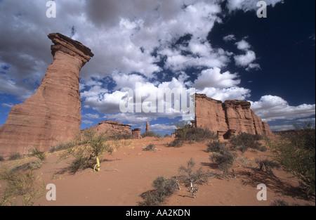 Spektakuläre Felsformationen aus rotem Sandstein und Brea bush (parkinsonia Beurre, ehemals Cercidium Beurre), Talampaya Nationalpark, Argentinien Stockfoto