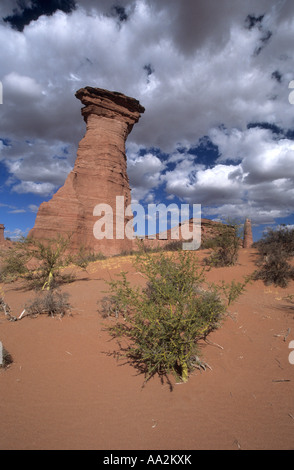 Spektakuläre Felsformationen aus rotem Sandstein und Brea bush (parkinsonia Beurre, ehemals Cercidium Beurre), Talampaya Nationalpark, Argentinien Stockfoto