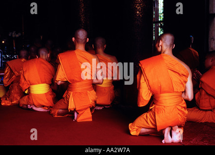 Thai Männer, buddhistische Mönche, beten, zentrale Heiligtum, Wat Chiang Man, Chiang Mai, Chiang Mai Province, Thailand, Asien Stockfoto