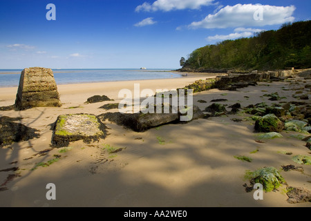 Priory Strand Isle Of Wight England UK Stockfoto