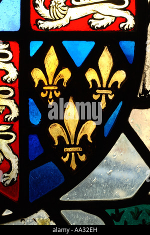 Fleur de Lys Wappen Symbol auf Kathedrale Glasfenster Stockfoto