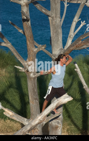 Mann oben auf einem Baum in der Landschaft Stockfoto