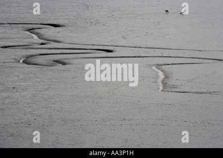 Wattenmeer Brancaster Norfolk UK Juni Stockfoto