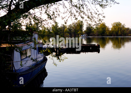 Fluss Donaublick Marina in Belgrad Serbien Stockfoto
