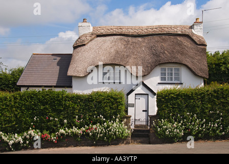 Ein Reetdachhaus in der Vale of Glamorgan in Südwales. UK Stockfoto