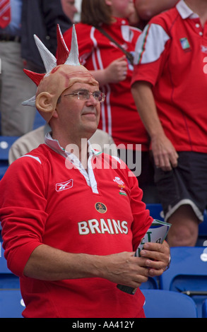 Llanelli Scarlets Fan bei Leicester Tigers Vs Llanelli Scarlets 21 04 07 Heineken European Cup Semi Final Stockfoto