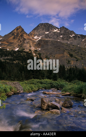 Alpine Creek in Silver King Basin Babine Berge Provincial Park Smithers British Columbia Stockfoto