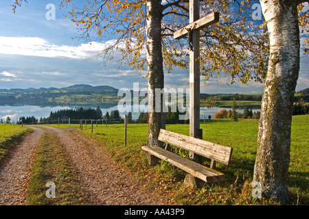 Kreuz auf einem Weg mit herbstlichen Birken, Blick auf den See Forggen Forggen See, Roßhaupten, Allgäu, Ost-Allgäu, Bayern Stockfoto