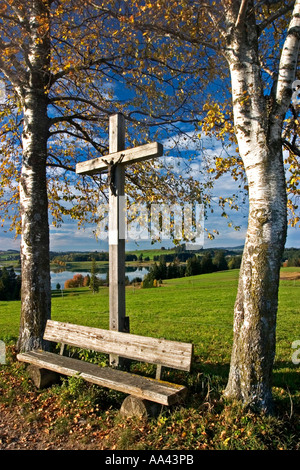 Kreuz auf einem Weg mit herbstlichen Birken, Blick auf den See Forggen Forggen See, Roßhaupten, Allgäu, Ost-Allgäu, Bayern Stockfoto