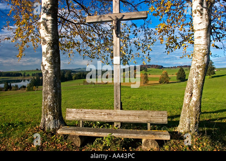 Kreuz auf einem Weg mit herbstlichen Birken, Blick auf den See Forggen Forggen See, Roßhaupten, Allgäu, Ost-Allgäu, Bayern Stockfoto