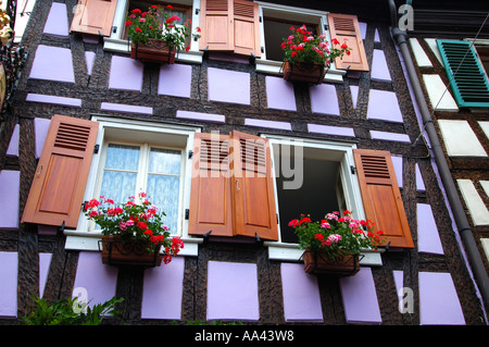 Mittelalterliche elsässischen Fachwerkhaus Mittagsmenue Elsass Frankreich Stockfoto