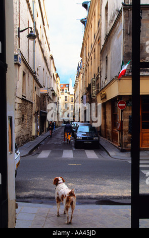 Paris verlassene Straßenszene am Sonntagmorgen. Hund steht allein in der Tür. Stockfoto