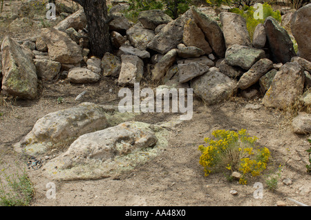 Steinerne Löwen eine prähistorische Native American Skulptur von zwei Mountain Lions in Bandelier National Monument wüste New Mexico. Digitale Fotografie Stockfoto