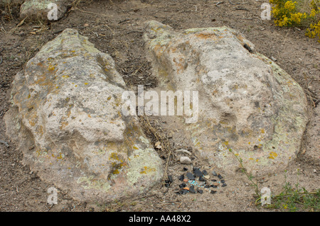 Steinerne Löwen eine prähistorische Native American Skulptur von zwei Mountain Lions in Bandelier National Monument wüste New Mexico. Digitale Fotografie Stockfoto