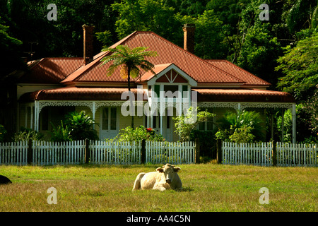 Bauernhaus im Stil einer Föderation mit Kühen unter Mount Chincogan an der Hauptstraße Arm Mullimbimby nördlichen New South Wales Australien Stockfoto