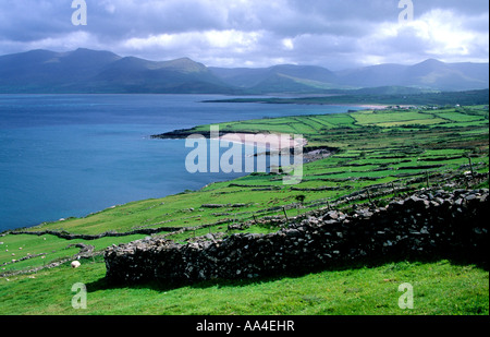 Küsten-Ansicht mit stürmischen Wolken in der Ferne, Halbinsel Dingle, Irland Stockfoto