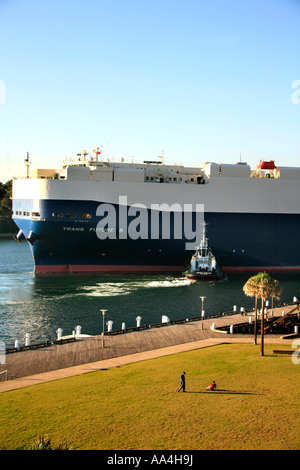 Die Schlepper Adsteam Warawee nutzt vollen Leistung Autotransporter Trans Zukunft 6 zu machen, wie sie zur Abfahrt im Hafen von Sydney bereitet Stockfoto