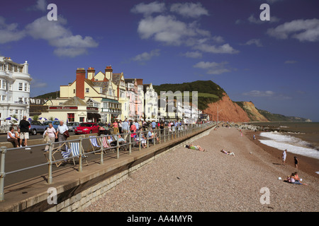 Die Esplanade Sidmouth Devon England UK Stockfoto