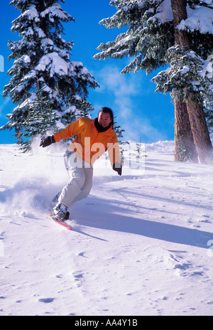 Eine koreanische Amerikanerin snowboards im frischen Pulverschnee Stockfoto