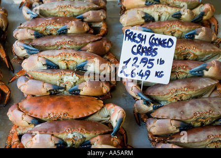 Frisch gekochte lokalen Krebse Rock ein Nore Fischerei Fischgeschäft Hastings alte Stadt East Sussex Stockfoto