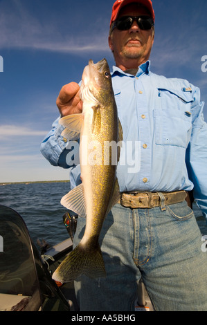 PROFESSIONELLE ANGLER SCOTT PETERS HÄLT EIN ZANDER VON SEE MILLE LACS NORDEN ZENTRALEN MINNESOTA ZOG Stockfoto