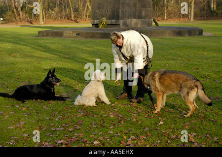 Hundetraining; Frau unterrichtet 3 Hunde Stockfoto