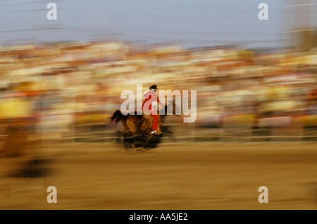 Eine Rodeo Cowgirl reitet ihr Pferd mit hoher Geschwindigkeit in eine arena Stockfoto