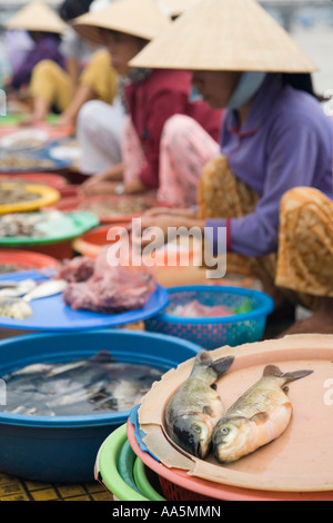 Hoi An, Vietnam, Fischmarkt in der Altstadt. Selektiver Fokus auf den Vordergrund Fisch Stockfoto