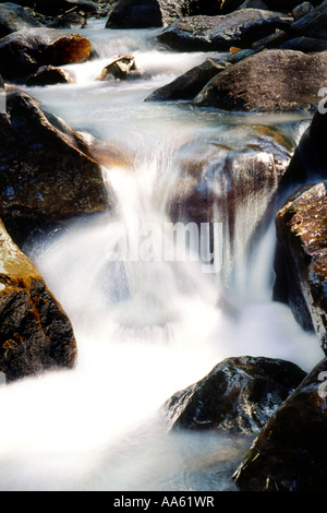 PKK103733 Wasser fließenden Flüsschens Kallar River in der Nähe von Ponmudi Trivandrum Distrikt Kerala Indien Stockfoto