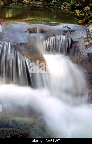 Wasserfall rivulet, Kallar Fluss, Ponmudi, Trivandrum, Kerala, Indien, Asien Stockfoto