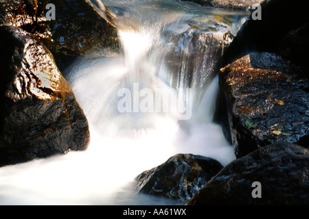 PKK103736 Wasser fließenden Flüsschens Kallar River in der Nähe von Ponmudi Trivandrum Distrikt Kerala Indien Stockfoto