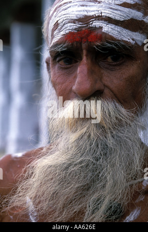 Eine Nahaufnahme von einem bärtigen Sadhu oder hinduistischen heiligen Mann Stockfoto