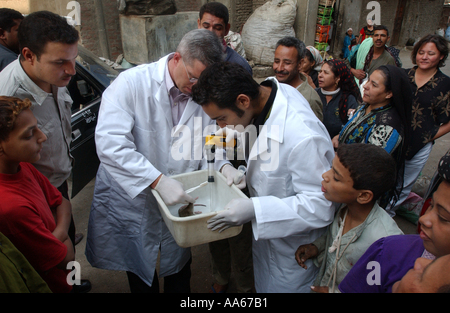 LCDR Dr. Daniel E Szumlas Gläser und Techniker Alaa A Taher FSN Auslandsdienst nationalen untersuchen eine Ratte gefangen einen Tag früher Stockfoto