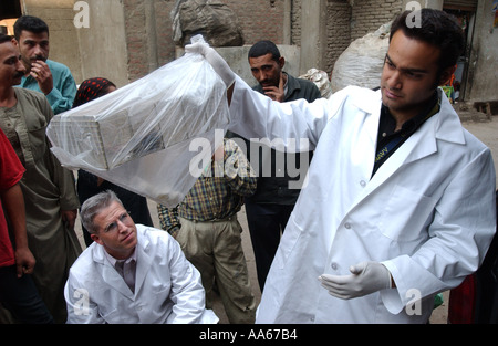 LCDR Dr. Daniel E Szumlas Gläser und Techniker Alaa A Taher FSN Auslandsdienst nationalen untersuchen eine Ratte gefangen einen Tag früher Stockfoto