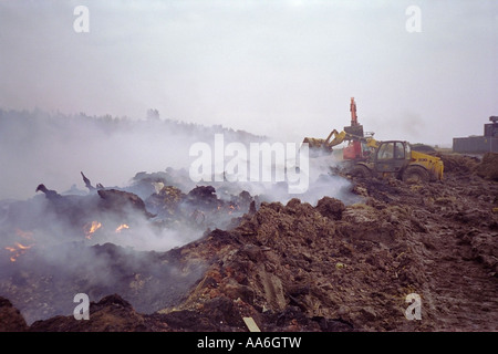 Kadaver entsorgen auf eine am Bauernhof Scheiterhaufen bei Ausbruch der Maul- und Klauenseuche 2001 Stockfoto