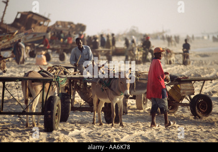 Plage des Pêcheurs - Nouakchott, Mauretanien Stockfoto