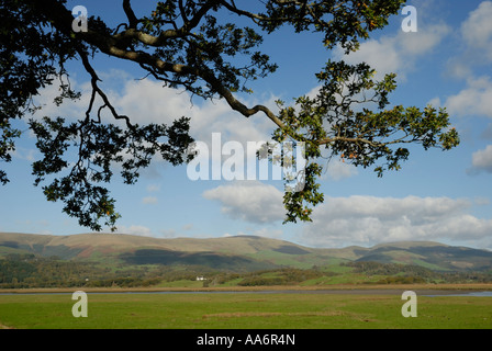 Blick über die dyfi Mündung bis zu den Ausläufern des Snowdonia von Ynys hir RSPB Reservat, Wales, UK. Stockfoto