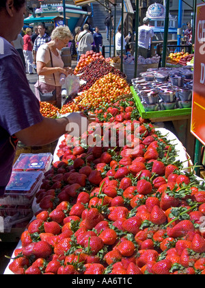 Embarcadero Marktstand Erdbeeren und Früchte zum Verkauf an Fishermans Wharf San Francisco USA Stockfoto
