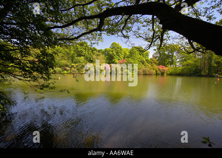 Der See im Margam Park, Margam, Port Talbot, South Wales, UK Stockfoto