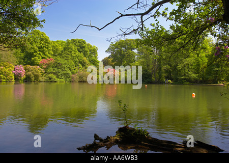 Der See im Margam Park, Margam, Port Talbot, South Wales, UK Stockfoto