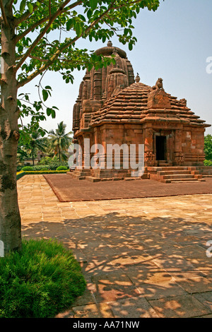 Rajarani Tempel, Bhubaneswar, Orissa, Indien Stockfoto