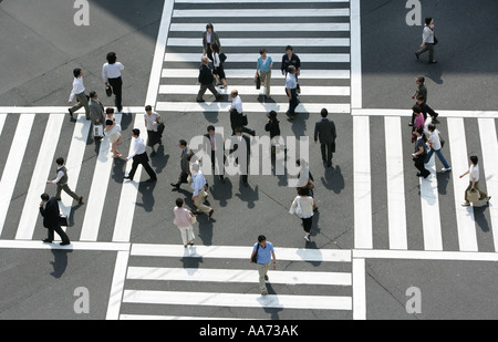 JPN-Japan Tokyo Big Fußgänger-Zebrastreifen Harumi Dori Straße und Sotobori Dori Ginza eleganten Einkaufs- und Unterhaltung Bezirk Stockfoto