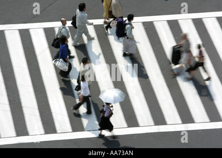 JPN-Japan Tokyo Big Fußgänger-Zebrastreifen Harumi Dori Straße und Sotobori Dori Ginza eleganten Einkaufs- und Unterhaltung Bezirk Stockfoto