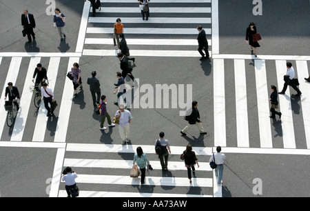 JPN-Japan Tokyo Big Fußgänger-Zebrastreifen Harumi Dori Straße und Sotobori Dori Ginza eleganten Einkaufs- und Unterhaltung Bezirk Stockfoto