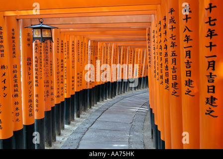 Vermillion lackiert Torii-Tore im Fushimi Inari-Taisha-Schrein in Kyoto Japan Stockfoto