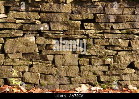 Trockenen Steinmauer uk Stockfoto